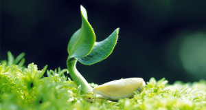 association membership